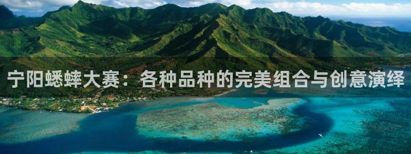 2006世界杯:宁阳蟋蟀大赛:各种品种的完美组合与创意演绎
