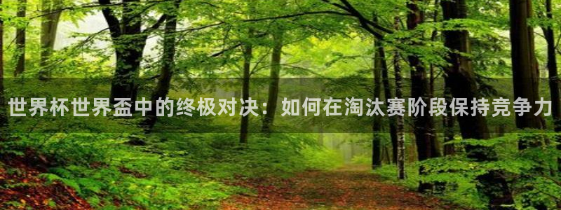 世界杯直播网站:世界杯世界盃中的终极对决:如何在淘汰赛阶段保持竞争力