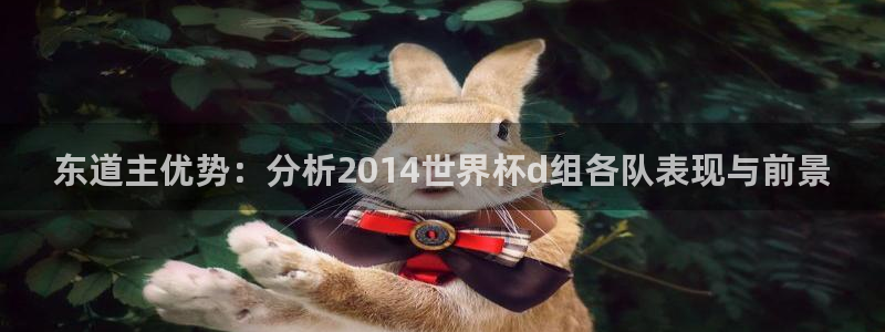 欧洲区世界杯预选赛:东道主优势:分析2014世界杯d组各队表现与前景