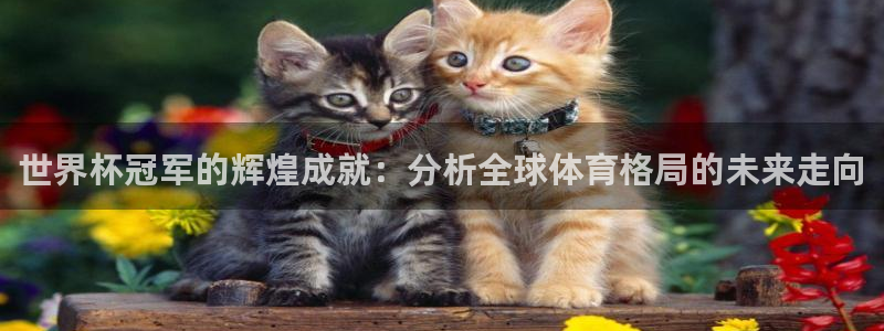 世俱杯直播:世界杯冠军的辉煌成就:分析全球体育格局的未来走向
