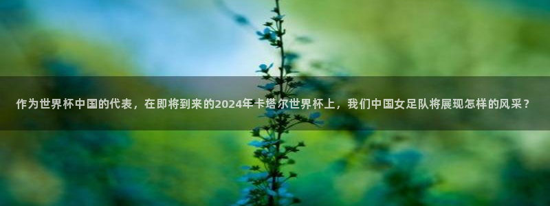 世界杯足球赛:作为世界杯中国的代表,在即将到来的2024年卡塔尔世界杯上,我们中国女足队将展现怎样的风采?