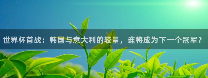 世界杯官网入口:世界杯首战:韩国与意大利的较量,谁将成为下一个冠军?