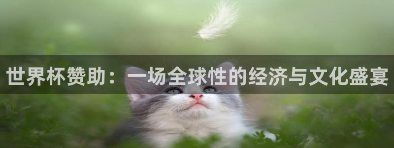 男足世界杯预选赛赛程:世界杯赞助:一场全球性的经济与文化盛宴
